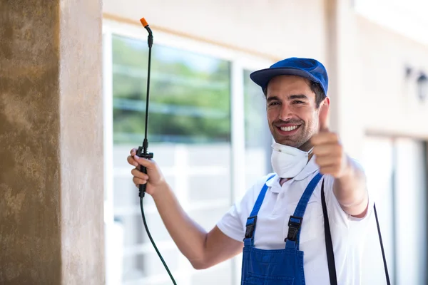 Windsor Wasp Removal