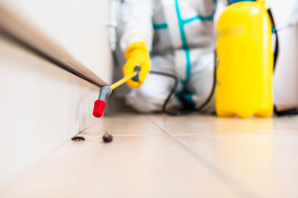 Windsor Cockroach Experts