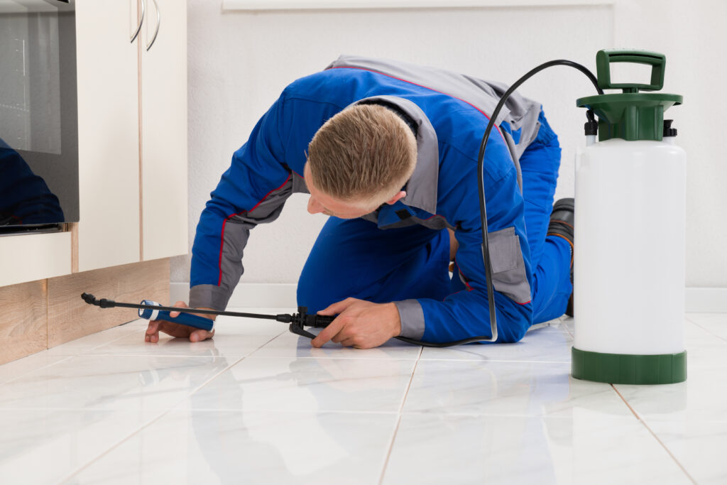 Windsor Ant Control Xperts