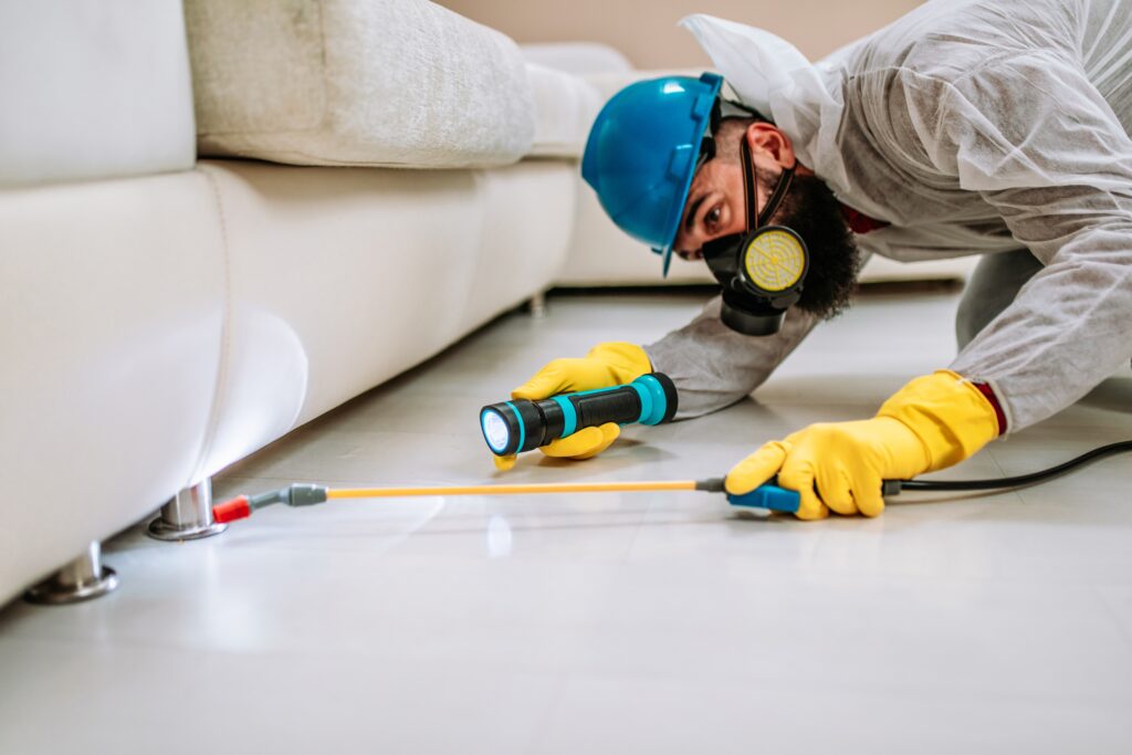 Windsor Termite Control