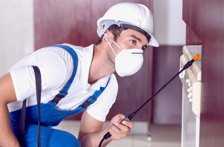 Windsor local pest services