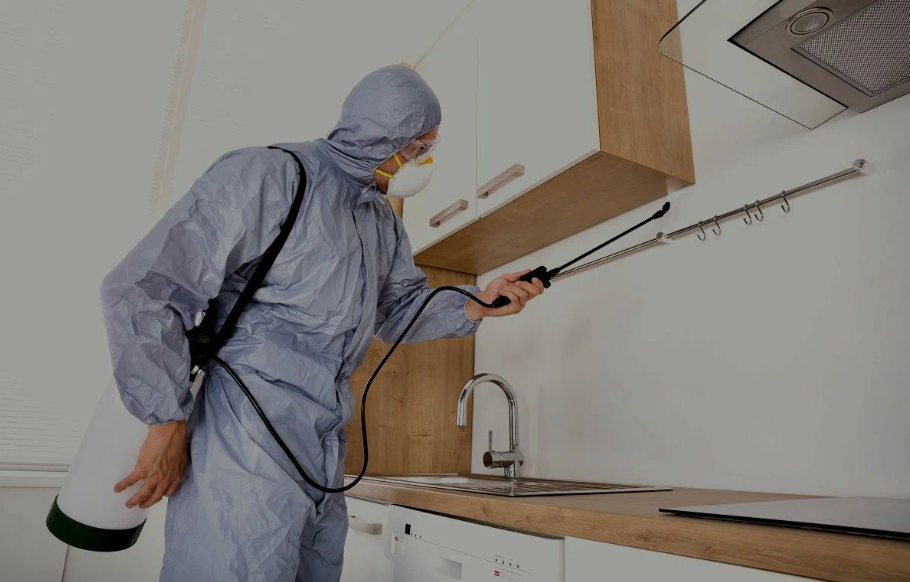 Windsor pest managment
