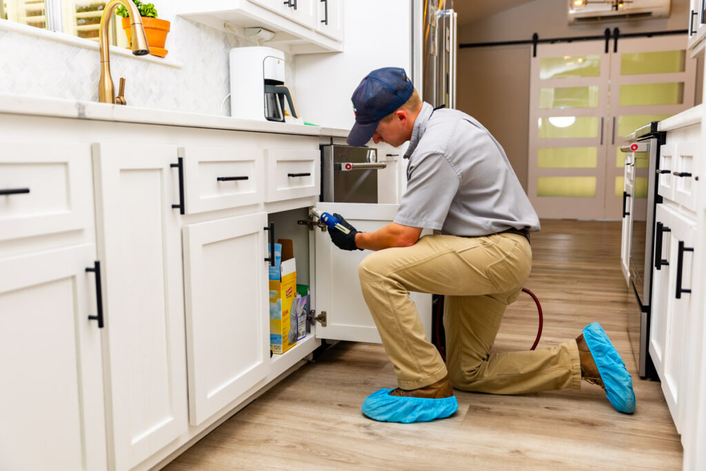Windsor xpert pest management